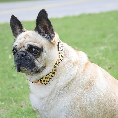 Miniatura 8 de Collar de perro con hebilla de metal duradero y ajustable suave para perros pequeños medianos y grandes punta rosa L 15-23 pulgadas