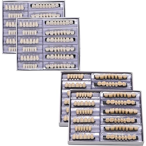 False Teeth Fake Teeth Acrylic Resin Teeth, 168pcs Teeth Upper and Lower Synthetic Resin Teeth for Replacement DIY Halloween (22A2)
