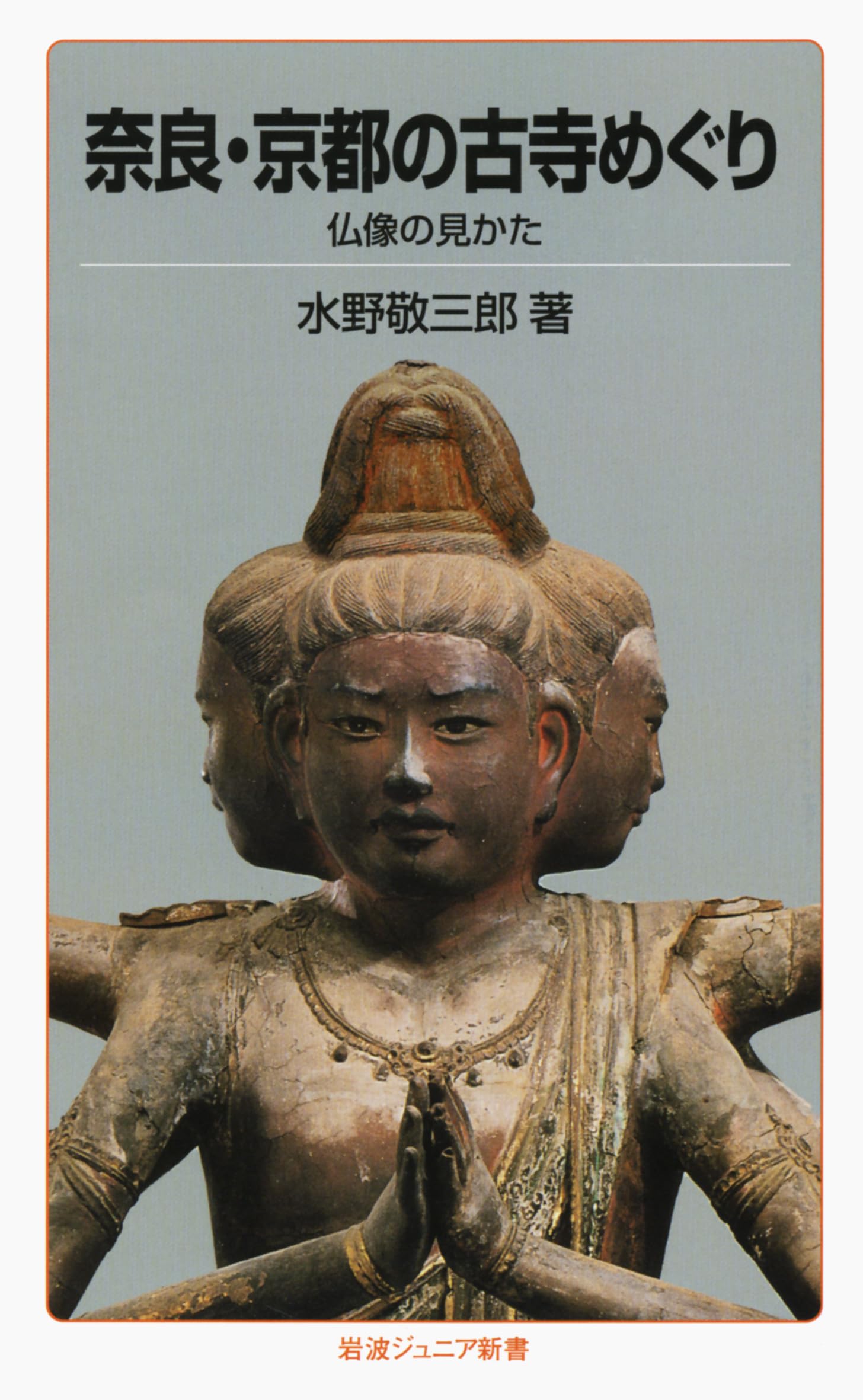奈良・京都の古寺めぐり: 仏像の見かた (岩波ジュニア新書 89) | 水野