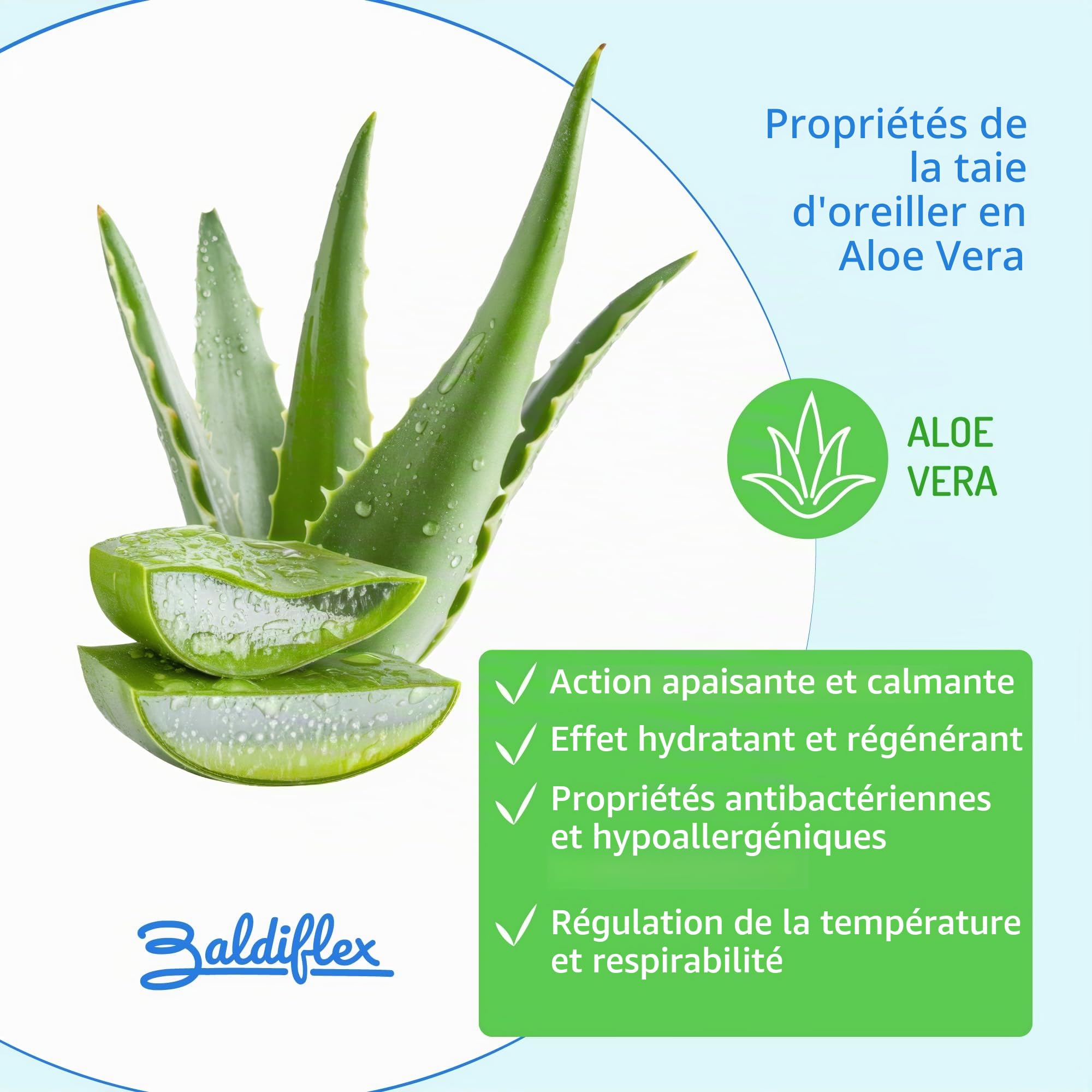 Baldiflex Lot de 2 Oreillers à Mémoire de Forme, Housse en Aloe Vera, Paire de Coussins Anti-Transpiration, Anti-Acarien et Hypo-Allergénique
