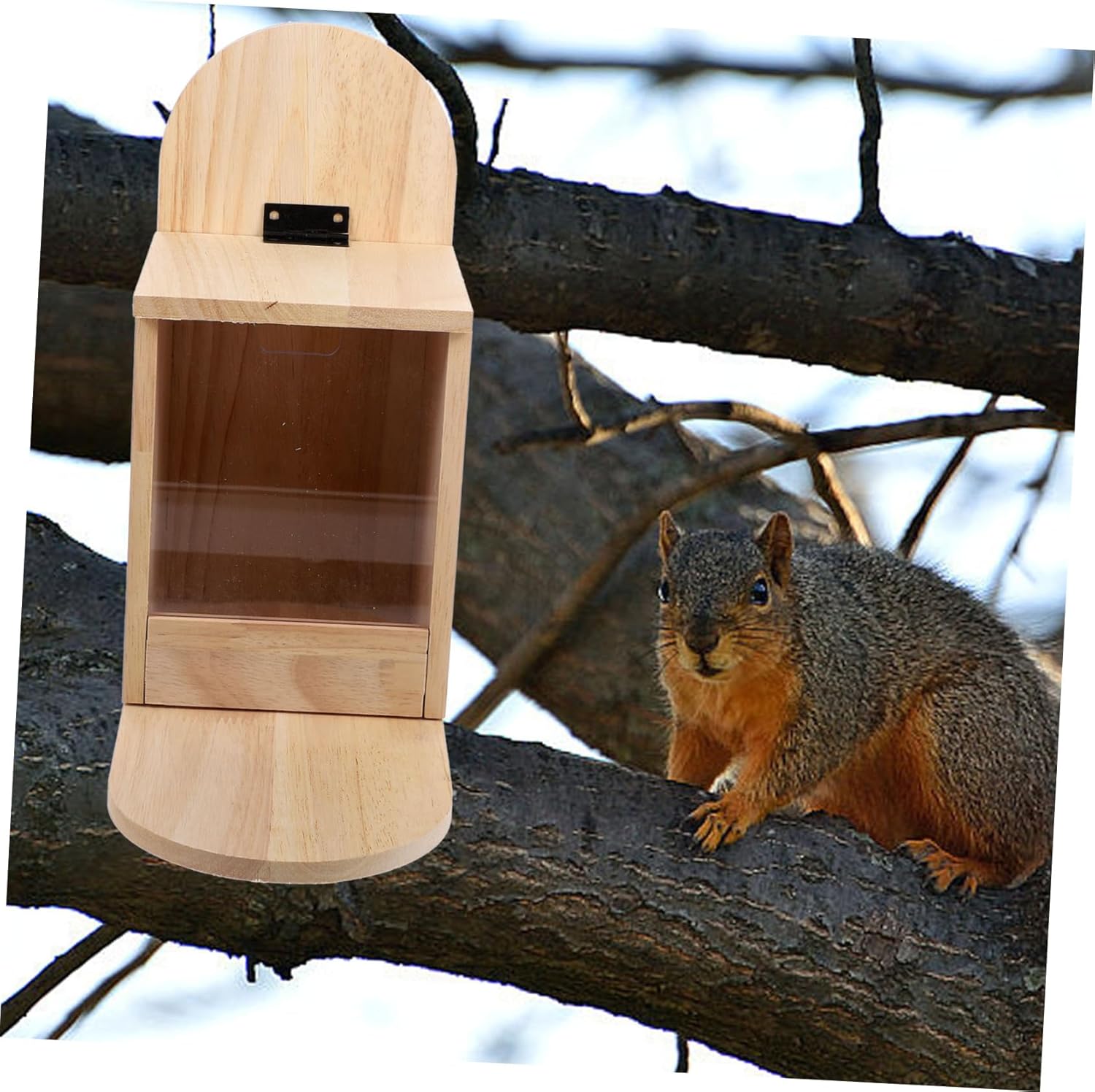Wooden Squirrel Feeder Removable Front Panel Outdoor Hanging Design for Garden for Nuts Chestnuts and Bird Watching