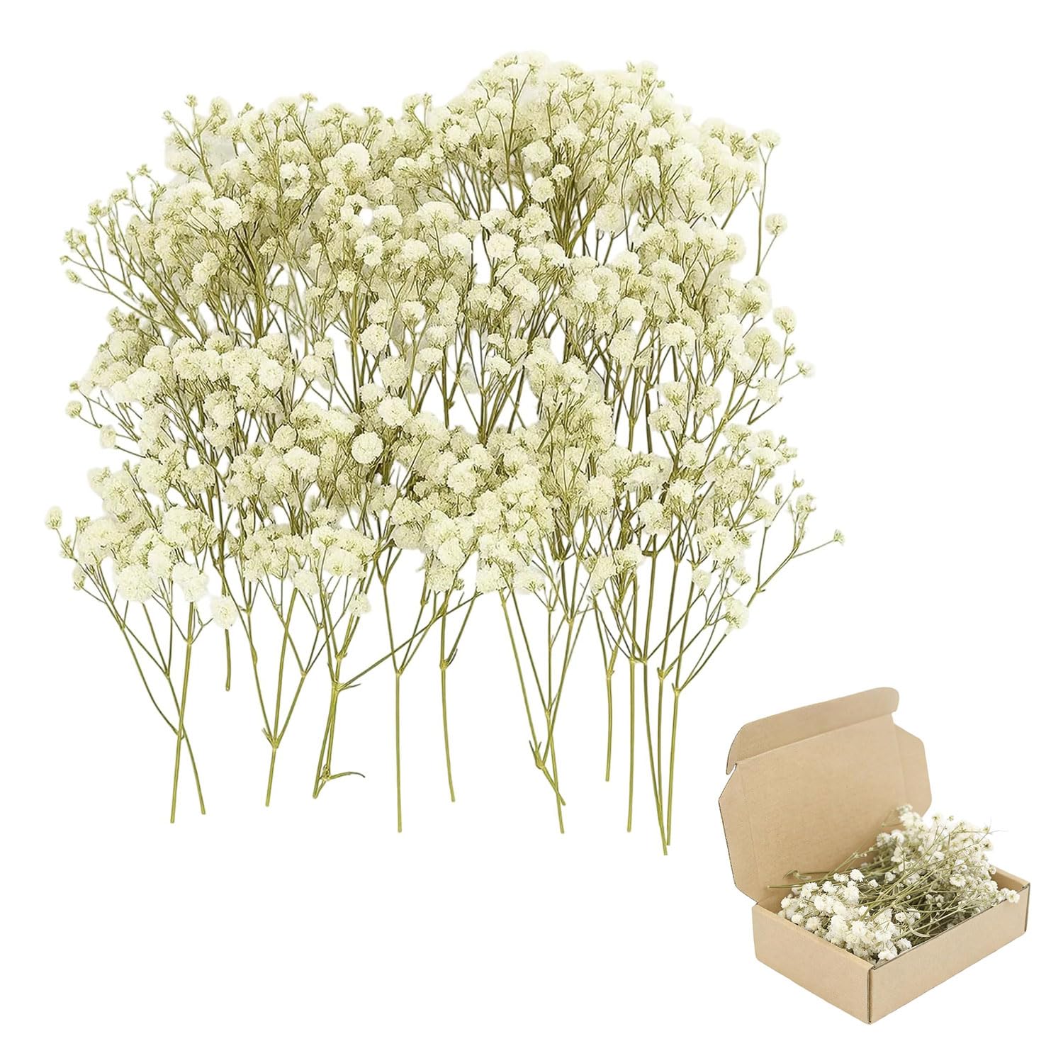 Gansdnek 100 Pcs Natural Dried Baby’s Breath Flowers, White Preserved-Dried Gypsophila, Dried Pressed Baby's Breath Flowers, Real Natural Gypsophila for Wedding, DIY Crafts, Resin Art, Home Décor