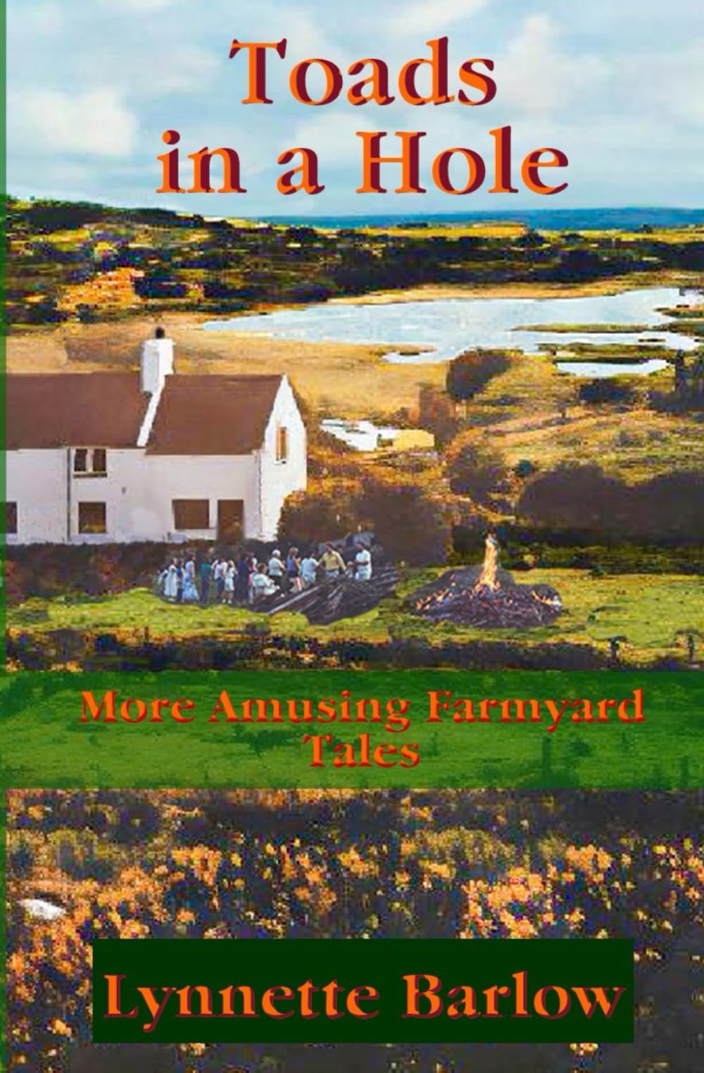 Toads in a Hole: More Amusing Farmyard Tales (Toads Adventures: A Humorous Rural Tale. Illustrated.)