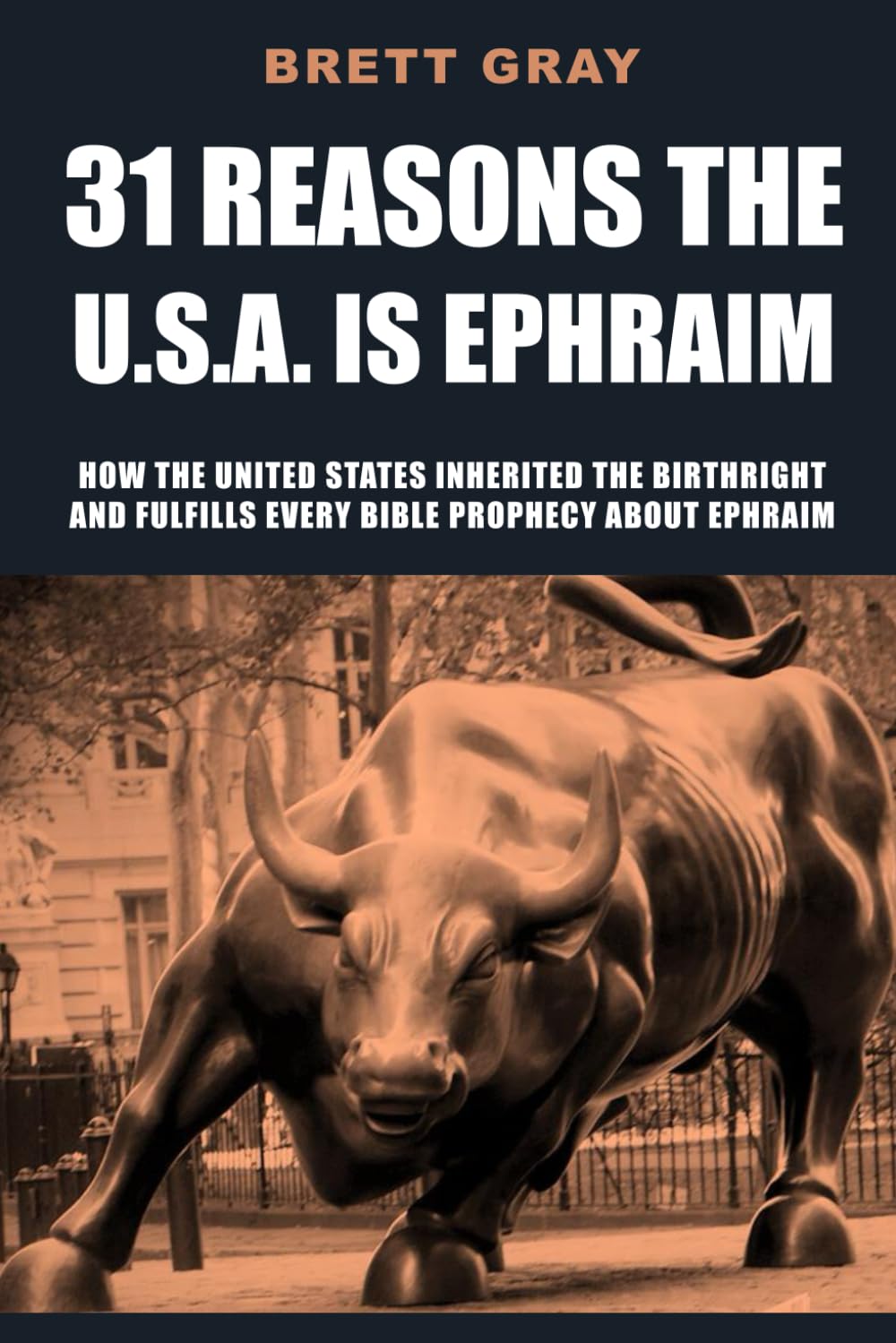 31 Reasons the U.S.A. Is Ephraim: How the United States Inherited the Birthright and Fulfills Every Bible Prophecy About Ephraim