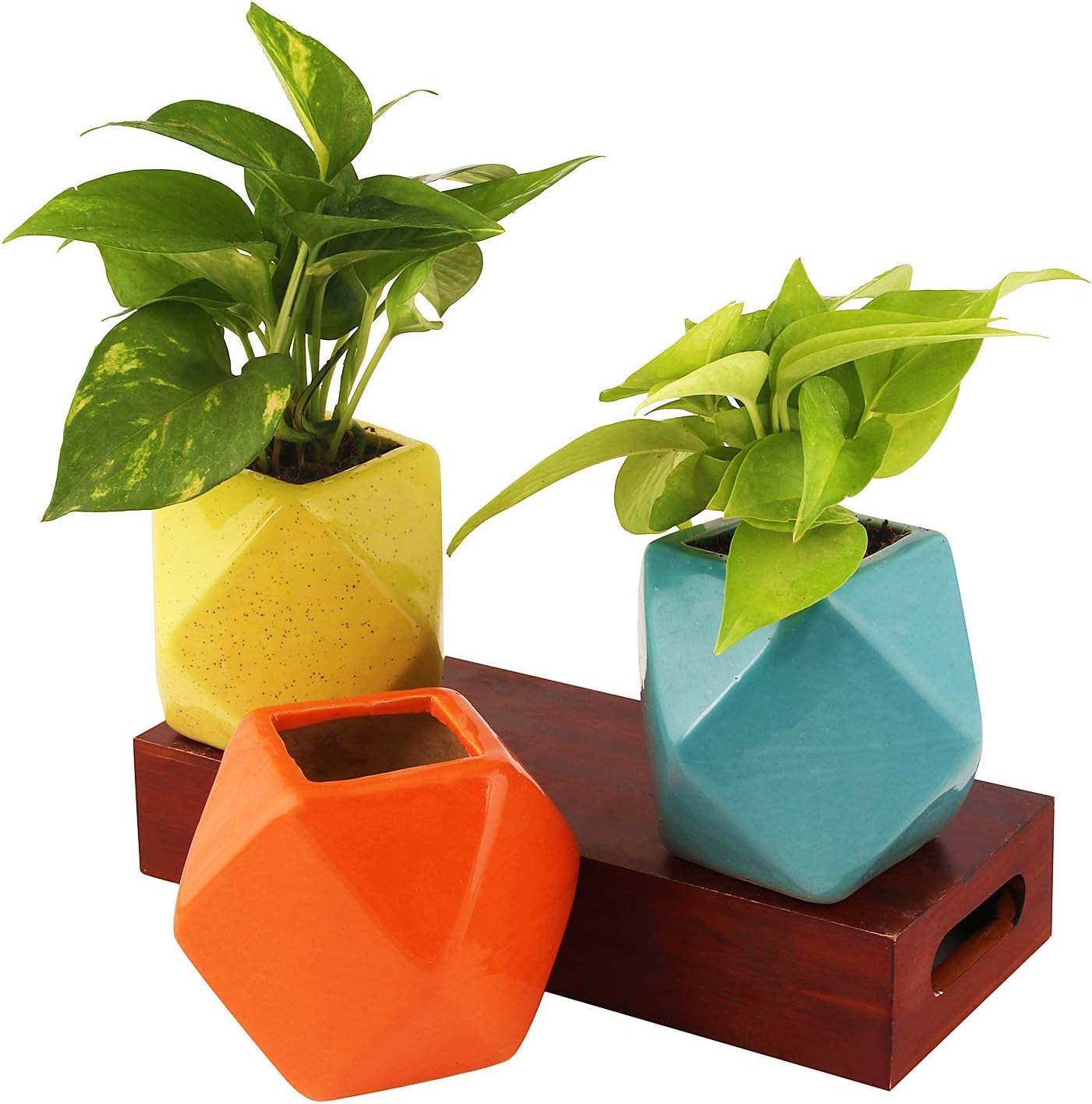 Leafy Tales Polygon Shape Ceramic Pot, Orange, 1 pc (Polygon Orange)