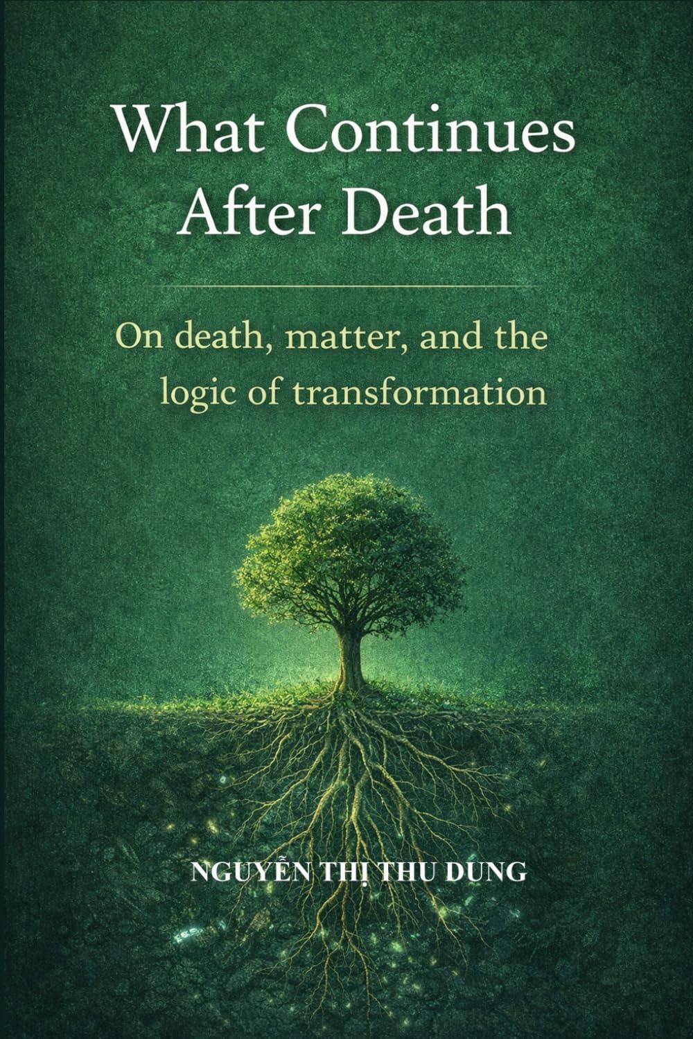 What Continues After Death: On death, matter, and the logic of transformation (Mechanics of Existence)