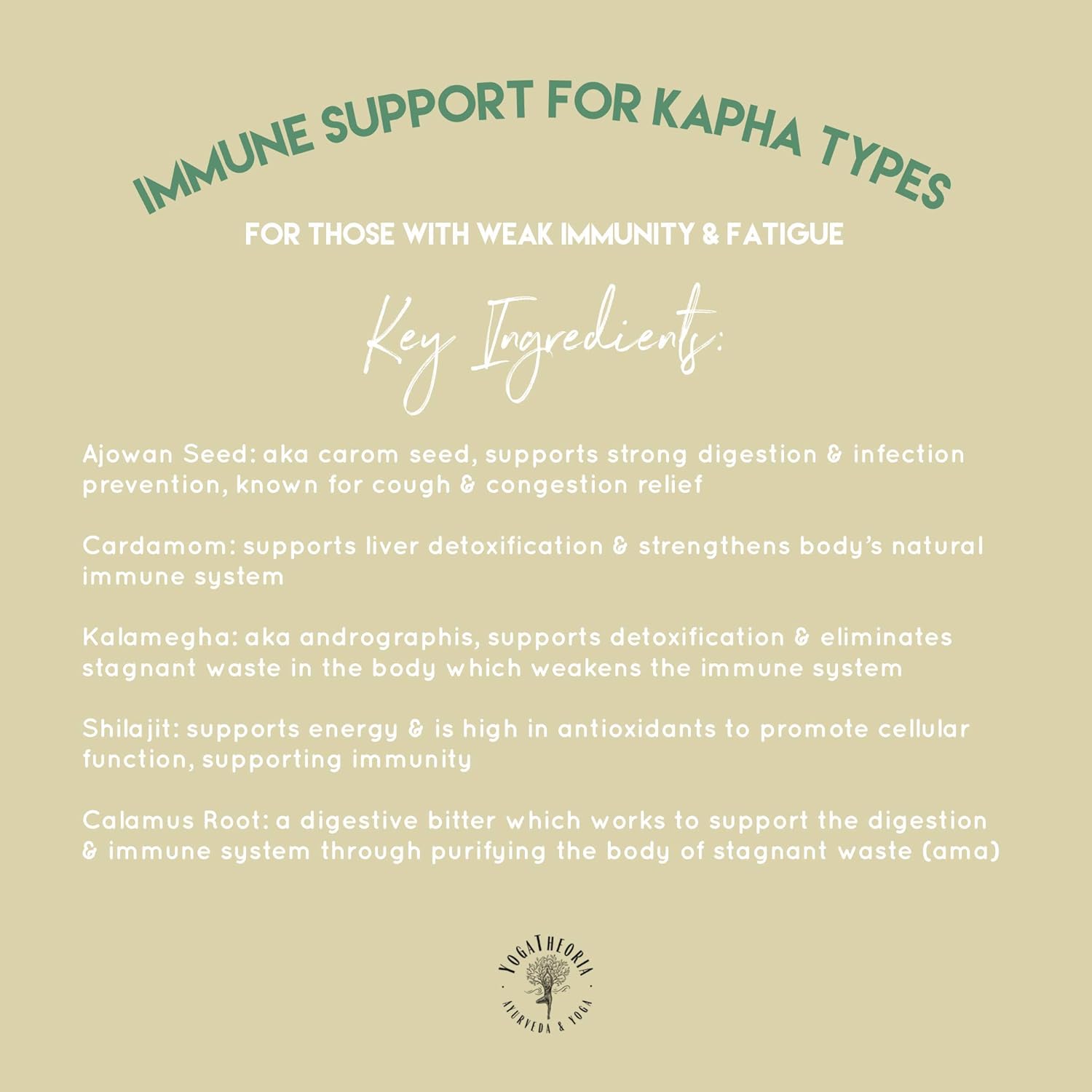 Kapha Dosha | Root Chakra 100% Herbal - Ayurvedic Digestive & Bowel Support with Shilajit, Triphala, Ajowan, Fennel & More : Health & Household