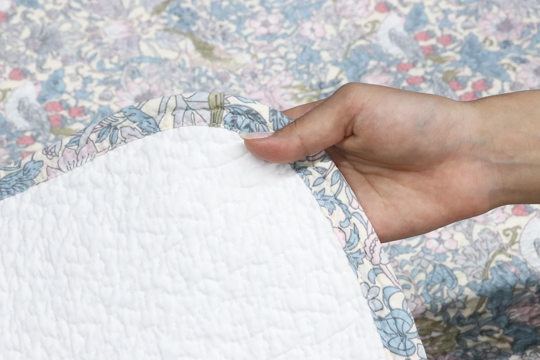 Amazon｜ロマンス小杉 公式 ねむりのアトリエ V＆A いちご泥棒