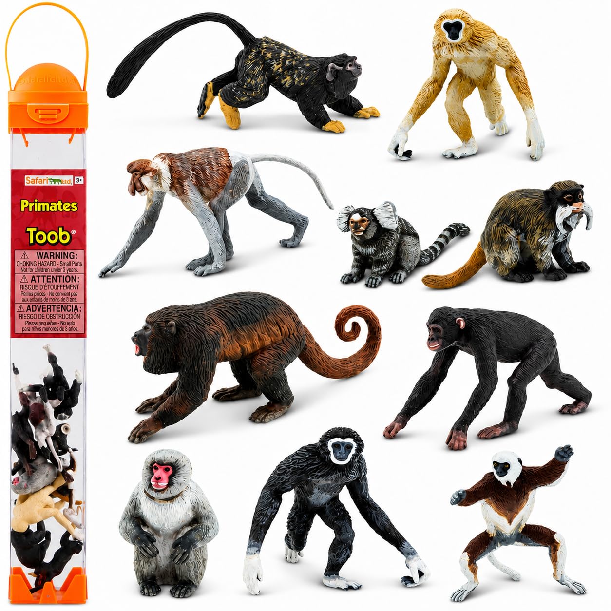 Amazon.com: Safari Ltd. Primates TOOB - Figurines of Various