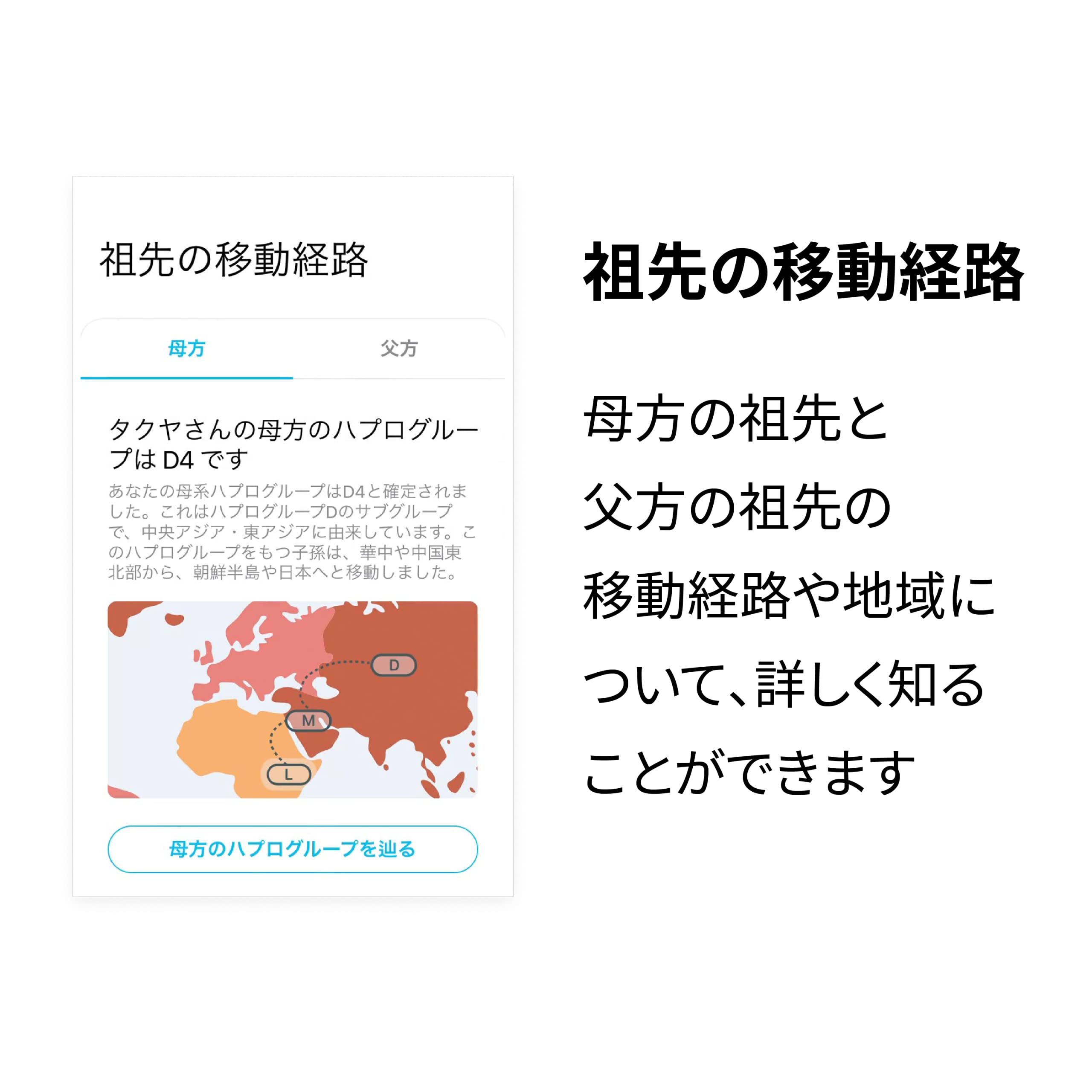 祖先遺伝子検査 Amazon.co.jp: 新 [GeneLife Haplo2.0] 祖先の遺伝子検査/自分の