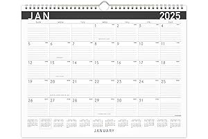 At a Glance Wall Calendar 2025