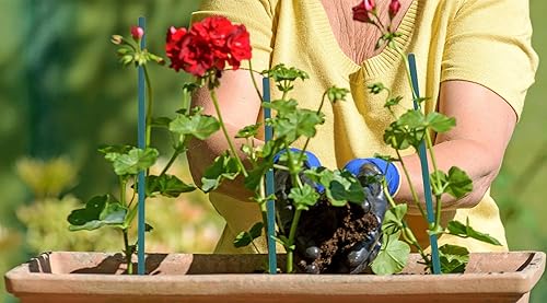 Miniatura 2 de Estacas de madera para jardín, estacas de bambú verde para plantas, floresorquídeastomates, estacas de madera para jardinería, estacas para plantas