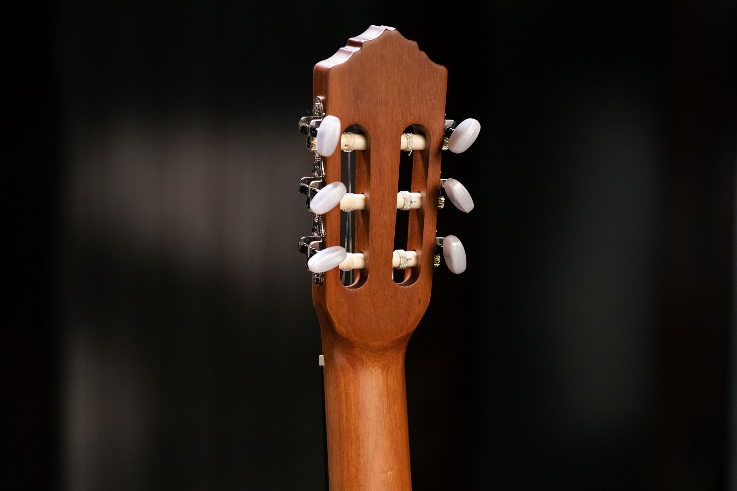 Ortega Guitars Chitarra Concerto Full Size - Serie Family - include Gig Bag - top in mogano/abete (R121)