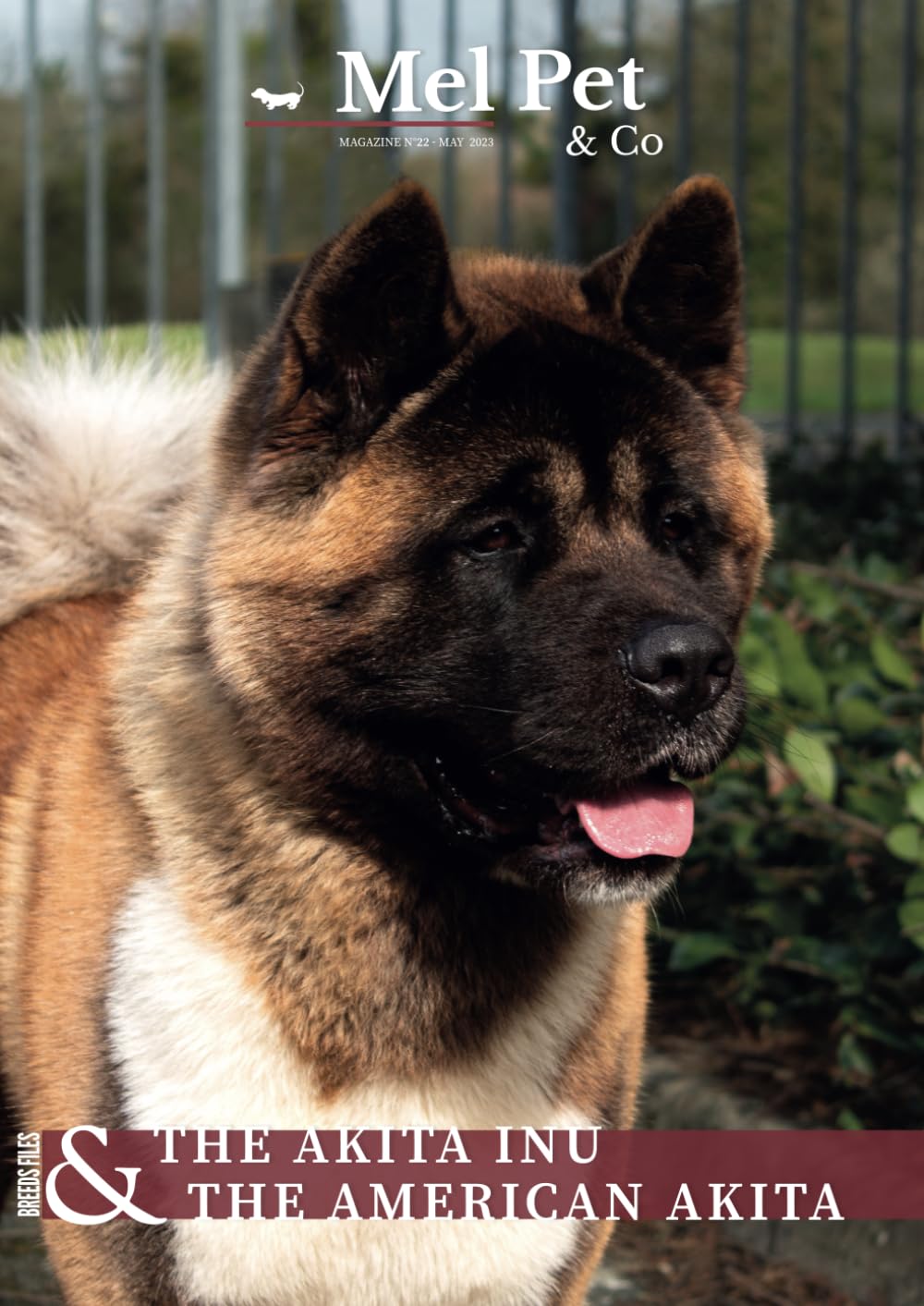 Amazon | Mel Pet & Co - Dog Magazine #22 : Akita Inu & Akita Américain |  Magazine, Mel Pet & Co | Breeds