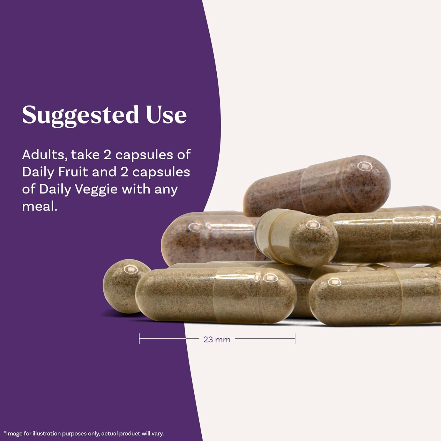 Natrol JuiceFestiv, Vitamins and Supplements for Nutrition & Well-Being, Antioxidants for Cellular Health, 60 Capsules (2-Count), Up to a 30 Day Supply