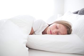 Down Alternative Standard Size Pillow
