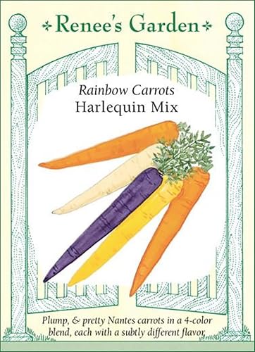 'Harlequin Mix' arco iris zanahorias, 4 pulgadas