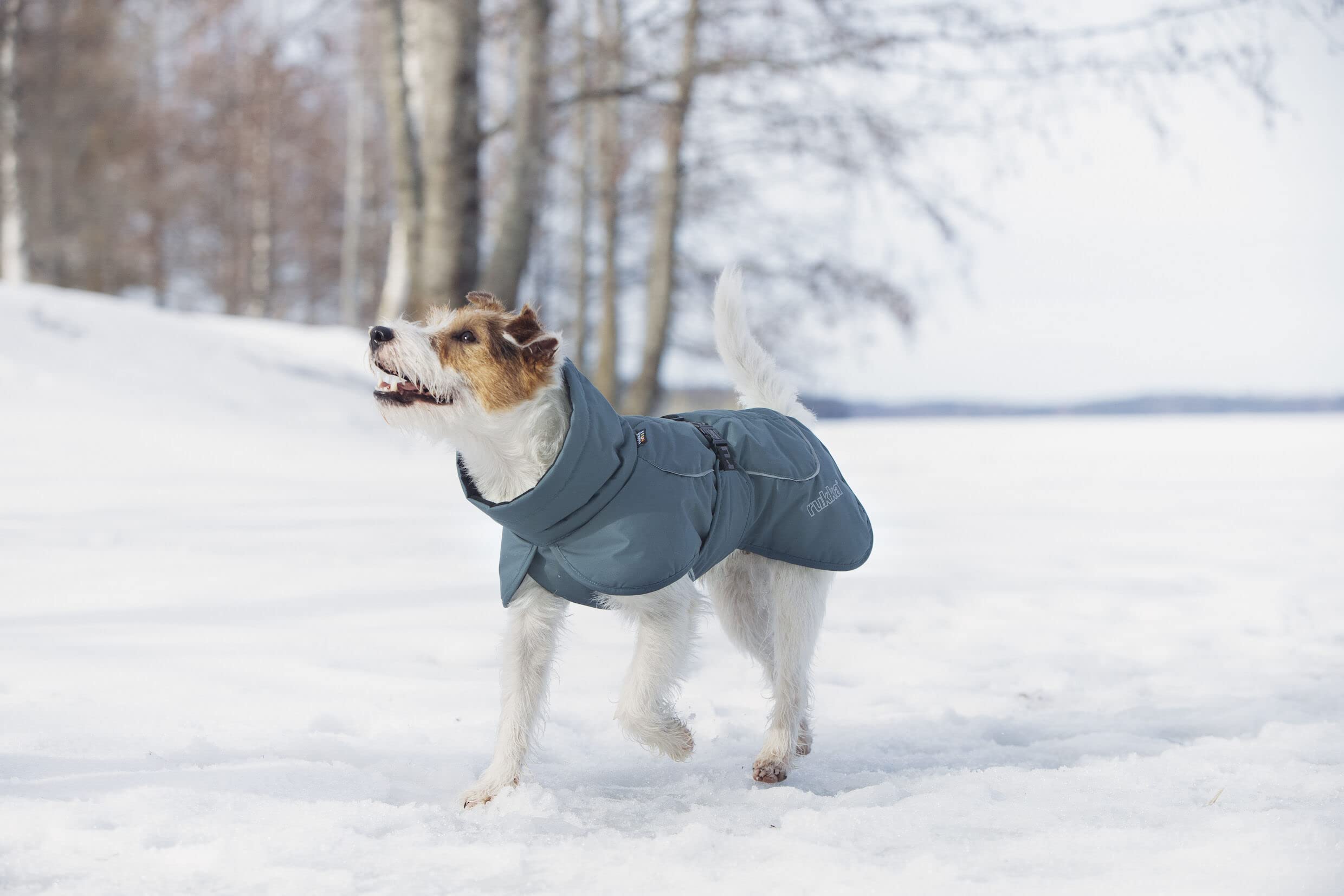 Rukka Pets Stormy Coat płaszcz dla psów, kolor oliwkowy 40
