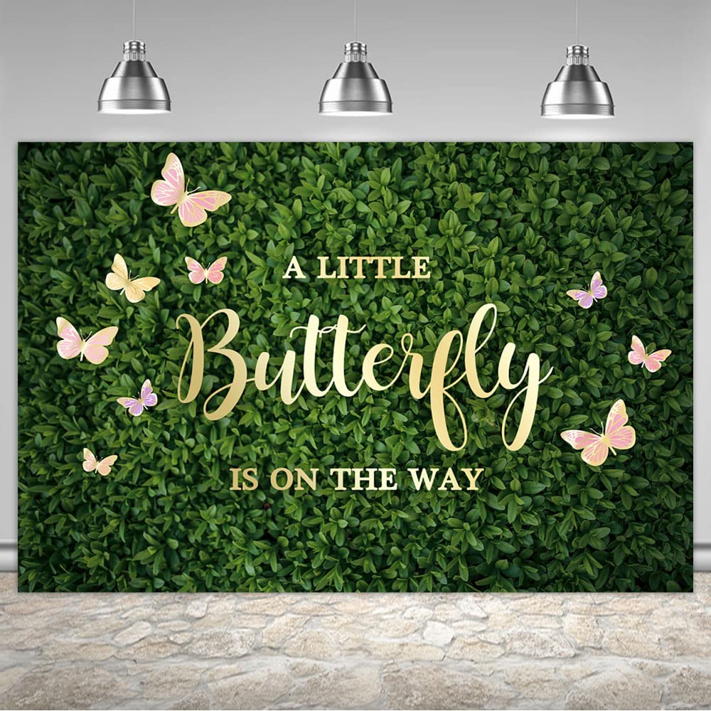 10 Best Butterfly Backdrops for Stunning Photography Shots