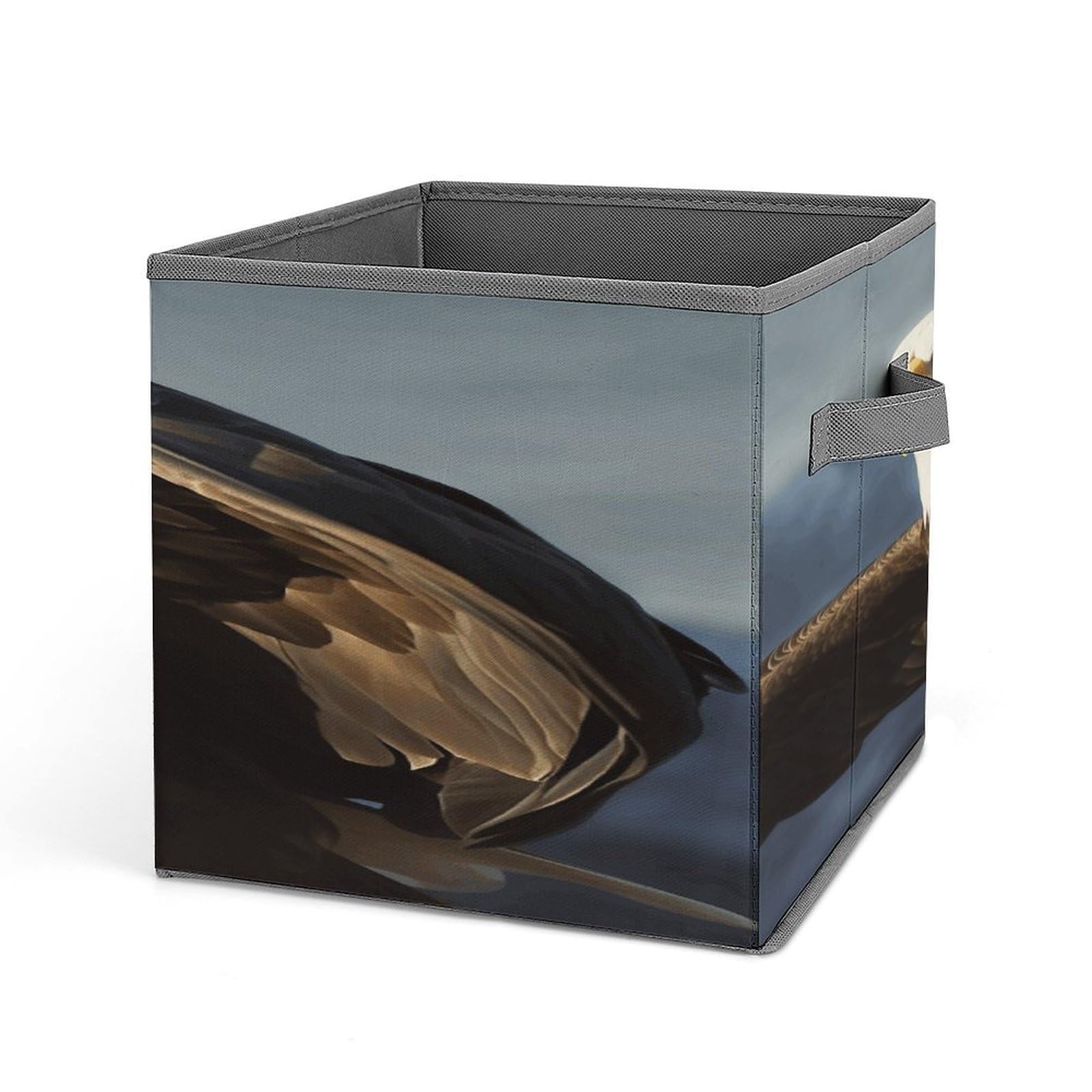 Fodpand Style Eagle Storage Cubes Foldable Decorative Fabric, Storage Bins Baskets With Handles, Closet Organizers And Storage For Home, Office,Closet, Clothes