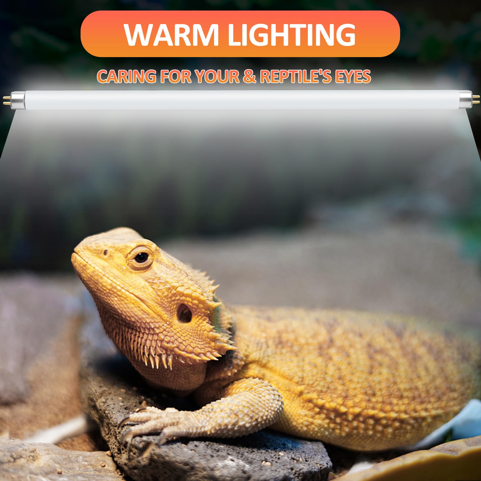 T8 UVB Reptile Light 15W 10.0-2 Pack,UVA UVB Light Bulb for Reptiles,Reptile UVB Lamp Tube for Bearded Dragon - image 3