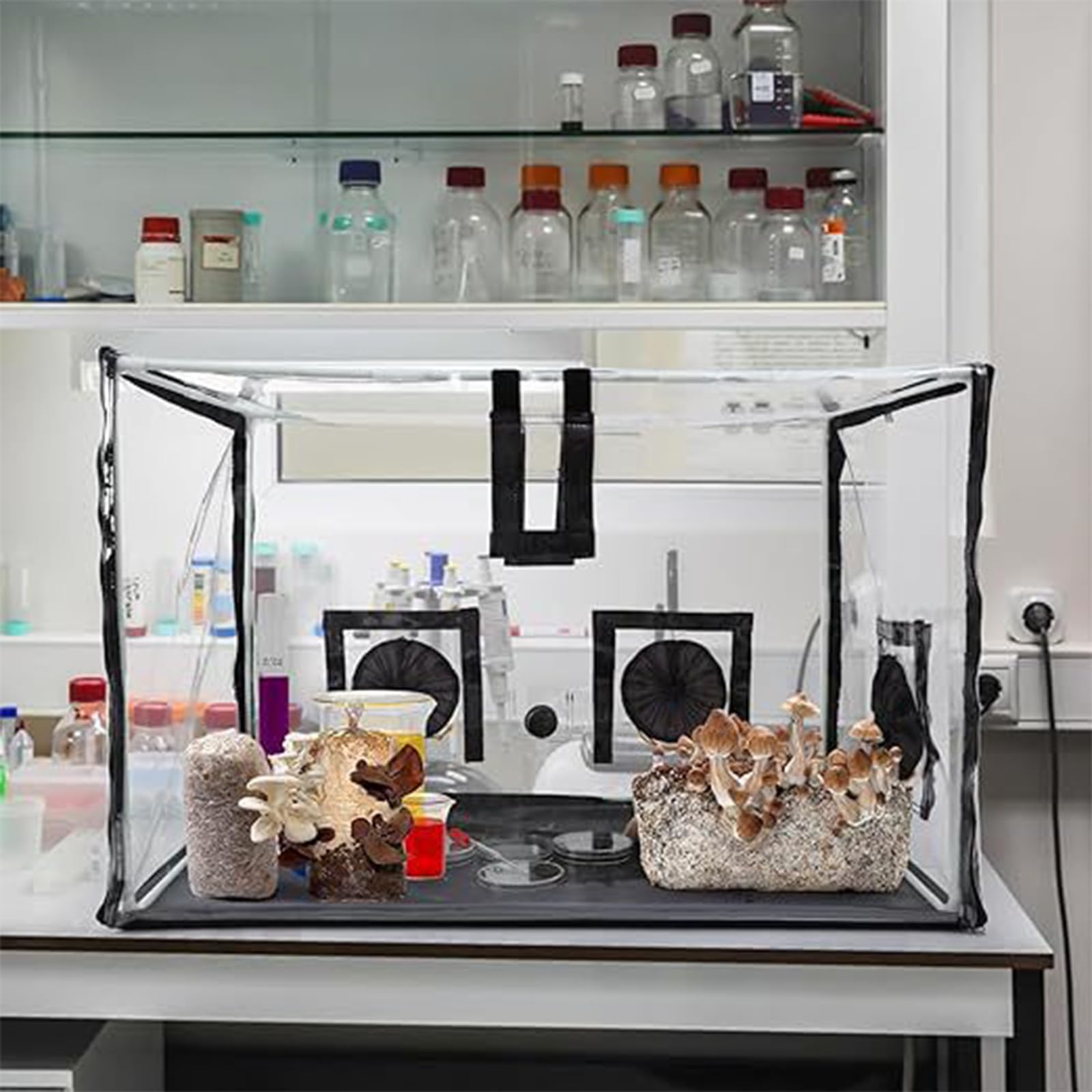 Générique Complet de Culture de Champignons avec Chambre à air Statique et Outil pour Une Culture Facile, débutants, Experts, d ' Observation de la Croissance des Champignons