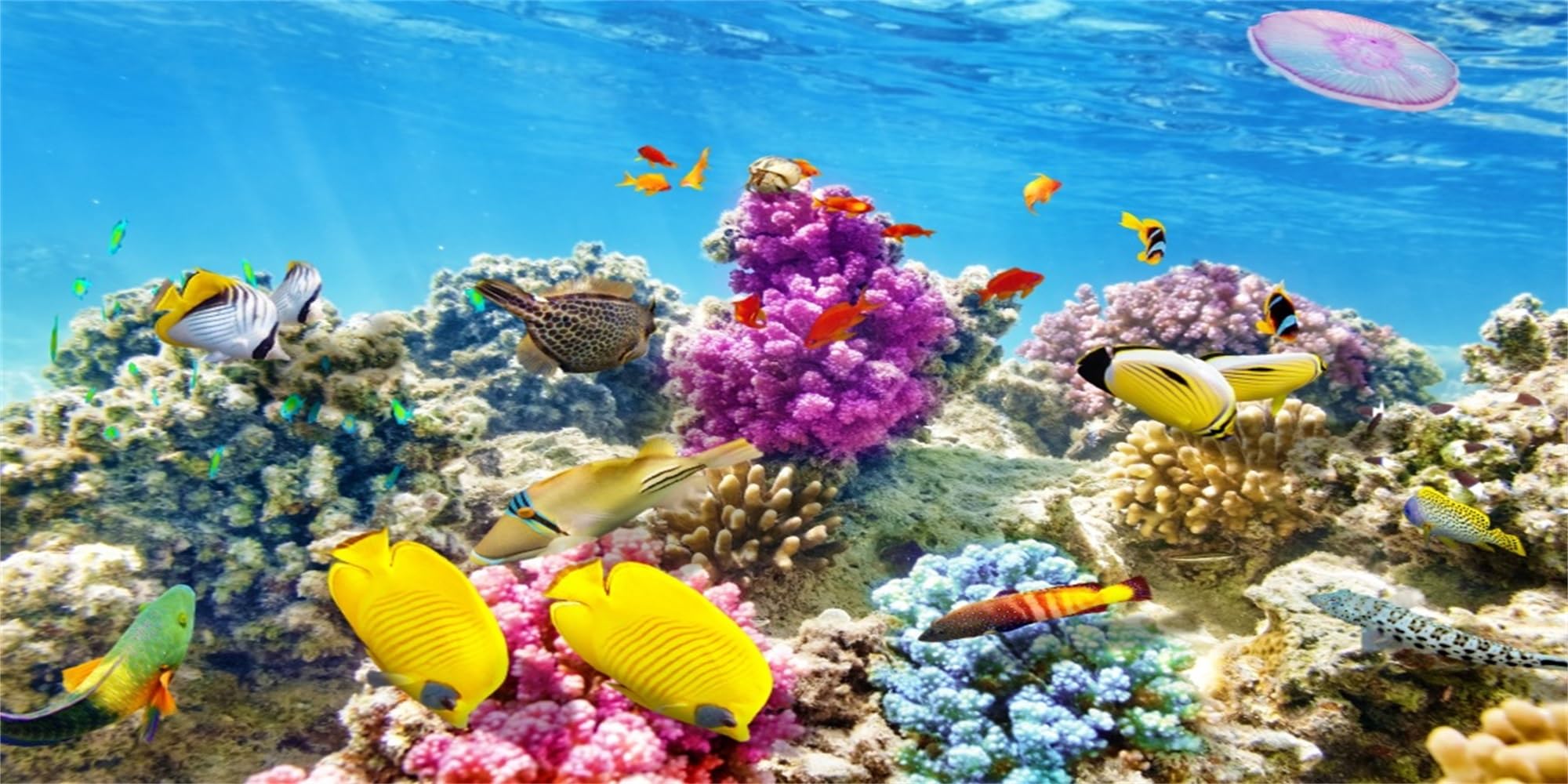 MIRRORANG 120x61cm Undersea Theme Aquarium Background Colorful Coral Tropical Fish Underwater World Fish Tank Background Durable Vinyl Background Decoration โ image 1
