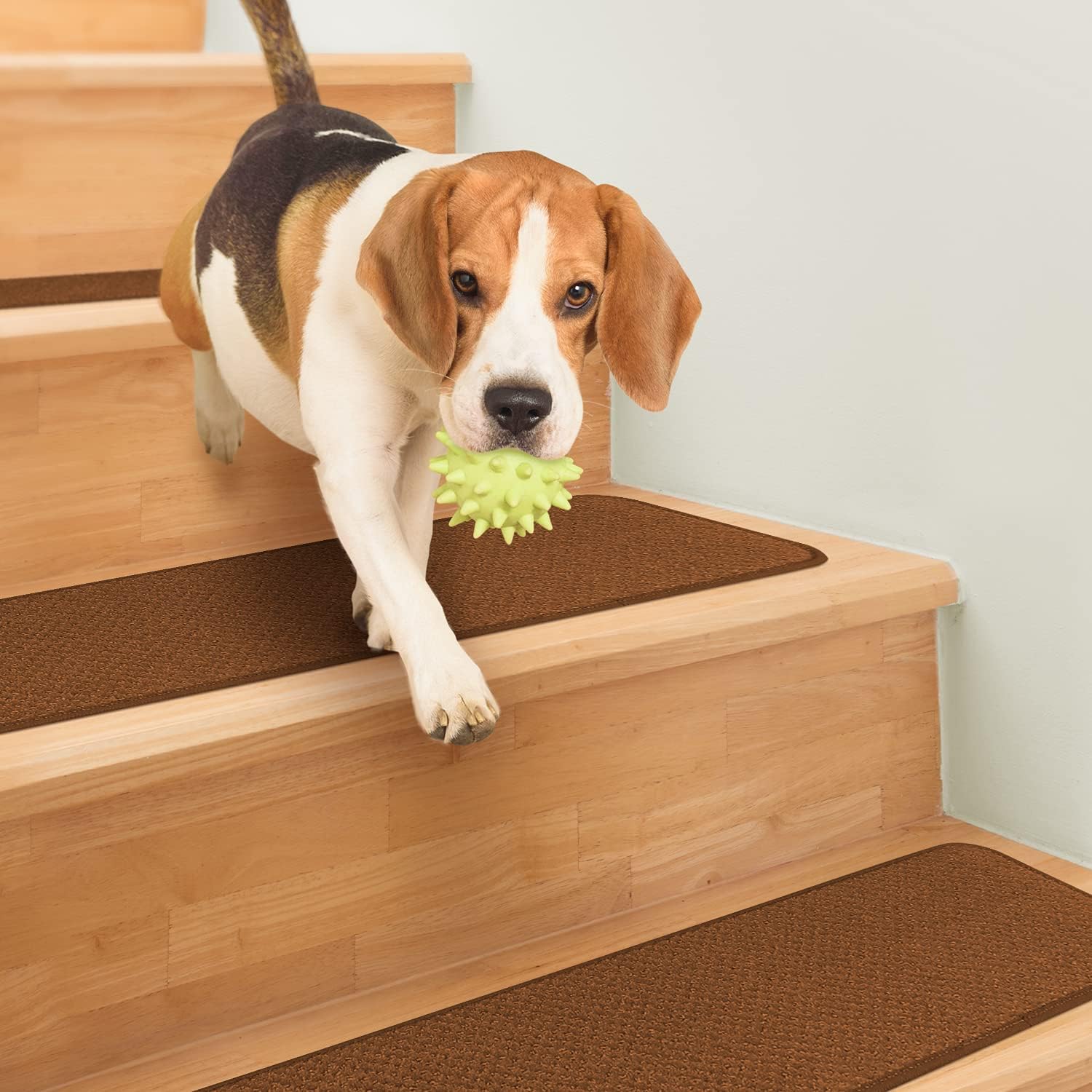 Uр Tо 40% оƒƒ House, Home and More Set of 15 Skid-Resistant Carpet Stair Treads - Toffee Brown - 9 Inches X 36 Inches Prоmо Dіѕсоunt Uр Tо 70% оƒƒ House, Home and More Set of 15 Skid-Resistant Carpet Stair Treads - Toffee Brown - 9 Inches X 36 Inches