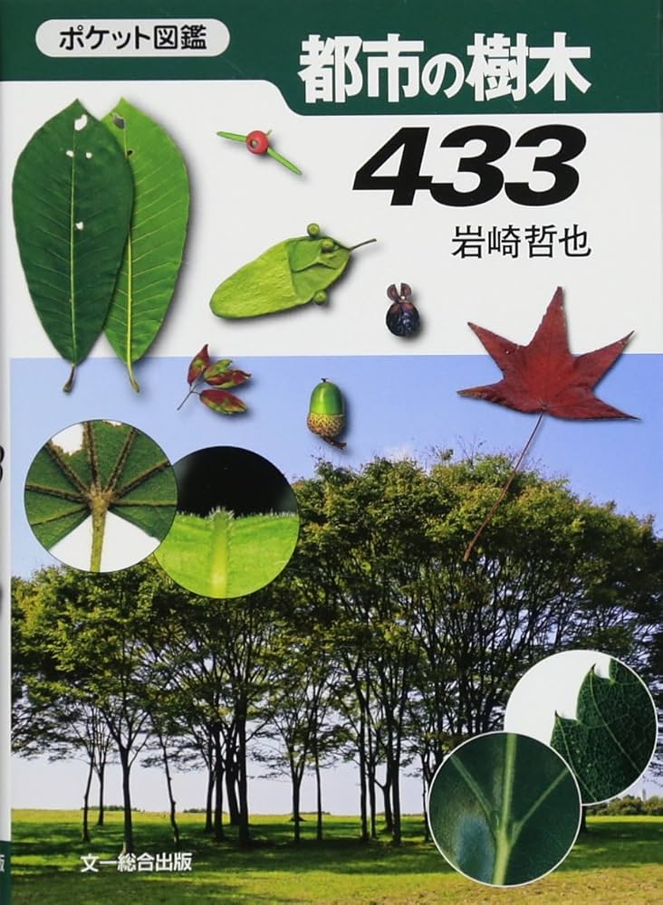 都市の樹木433 (ポケット図鑑) | 岩崎哲也 |本 | 通販 | Amazon