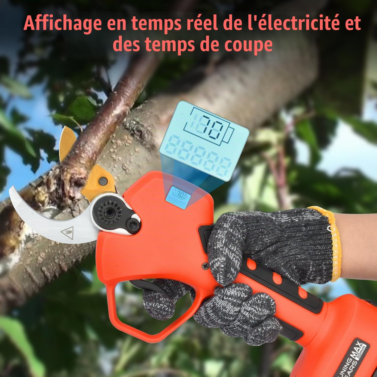 Sécateur électrique, 50 mm, batterie avec affichage, batteries 2 x 2 000 mAh, sécateur professionnel 800 W avec moteur Brushless pour jardinage, arbres fruitiers, vignobles