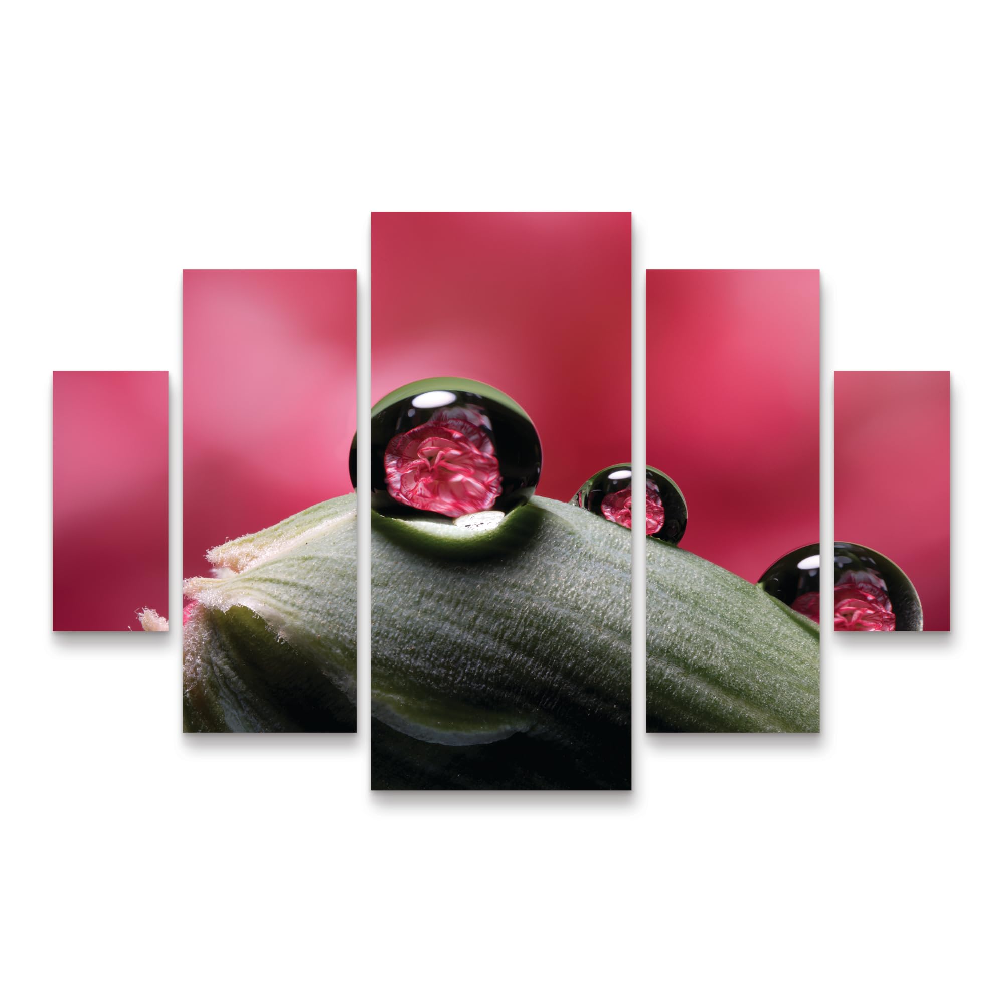 Trademark Fine Art 5 Piece Panel Set Art - Gordon Semmens Dew Drops Macro 06 Wall Art for