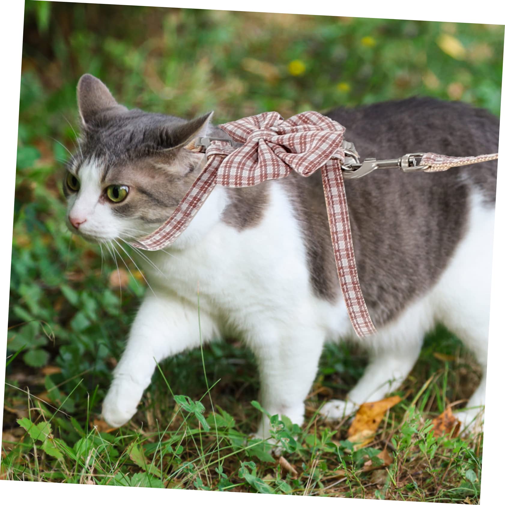 Sosoport 4sätze Einstellbares Katzengeschirr Mit Zugleine Für Außenbereich Sicher Und Bequem Für Kleine Katzen Geeignet Für Leicht Und Tragbar Aus Verschleißfestem Material