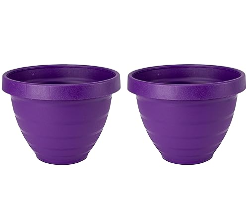 The HC Companies Rings Flower Planter - Self Watering Plant