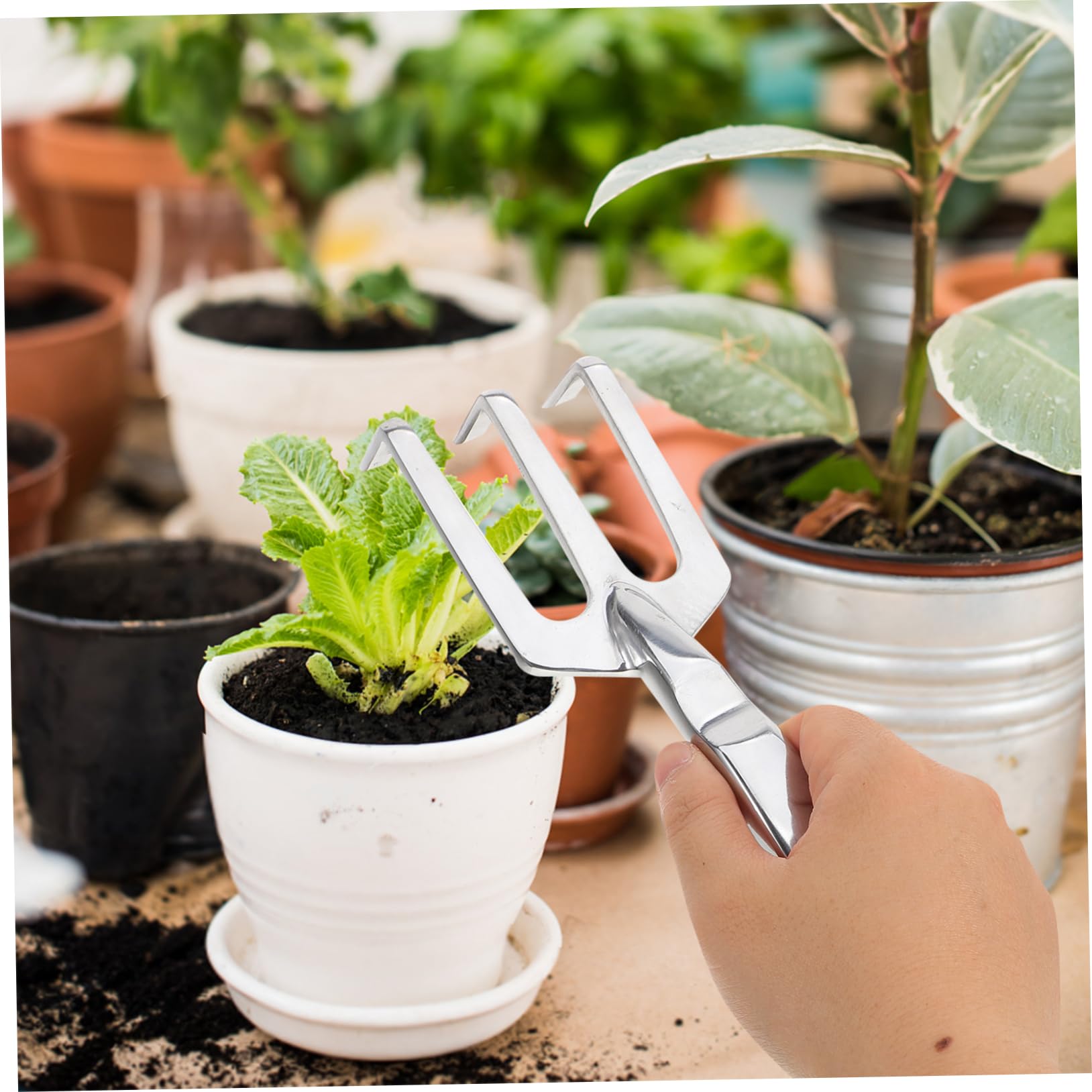 POPETPOP 5 Piezas Conjunto de Herramientas de jardín rastrillo de Suelo de jardín rastrillo recogedor de Hojas Herramientas de Jardin pequeño rastrillo pequeños rastrillos para cavar