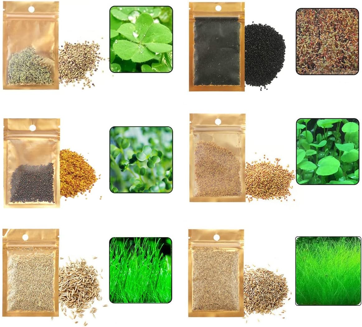 6 Pack Aquarium Grass Seeds for Planting Aquarium Grass Plant Seeds