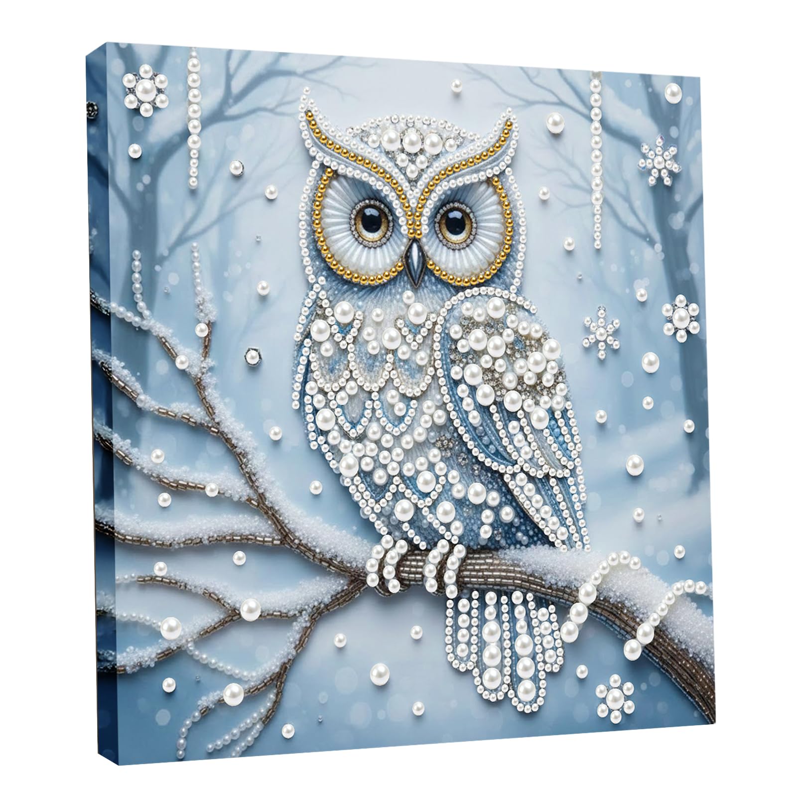 DIY Pearl Painting Kit with Wooden Frame, 3D Plastic Pearl Gemstone Ocean Art Craft for Adults Beginners, Diamond Dot Painting, Home Wall Decor Ready Gift for Women(Owl)(25 * 25cm)