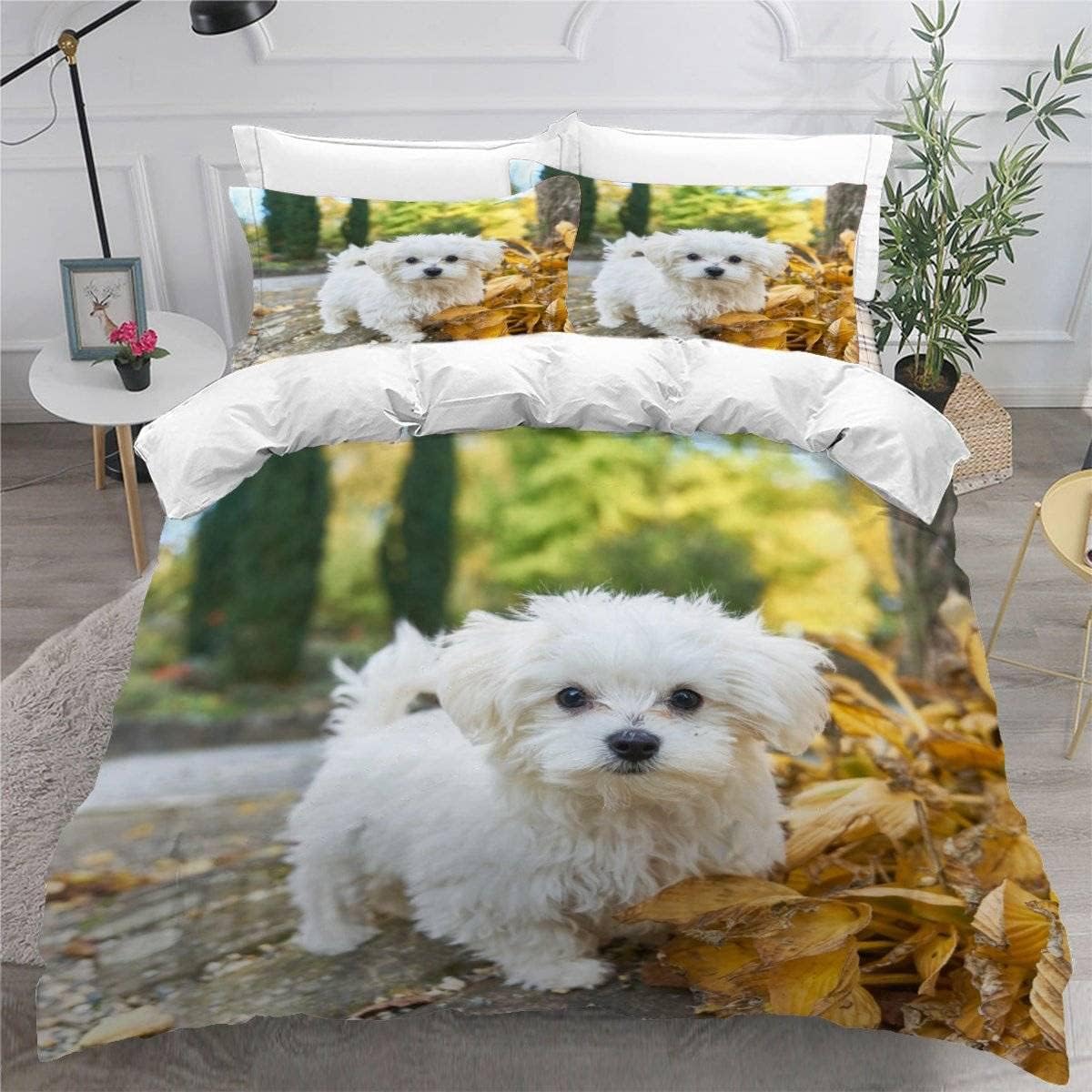MEVASA Maltese Dog Bedding Set - Microfiber Teenager Bedding Park Puppy 3D Bedding Set for Small Double - Anti Allergic Double Duvet Cover Set with Zipper /200x200