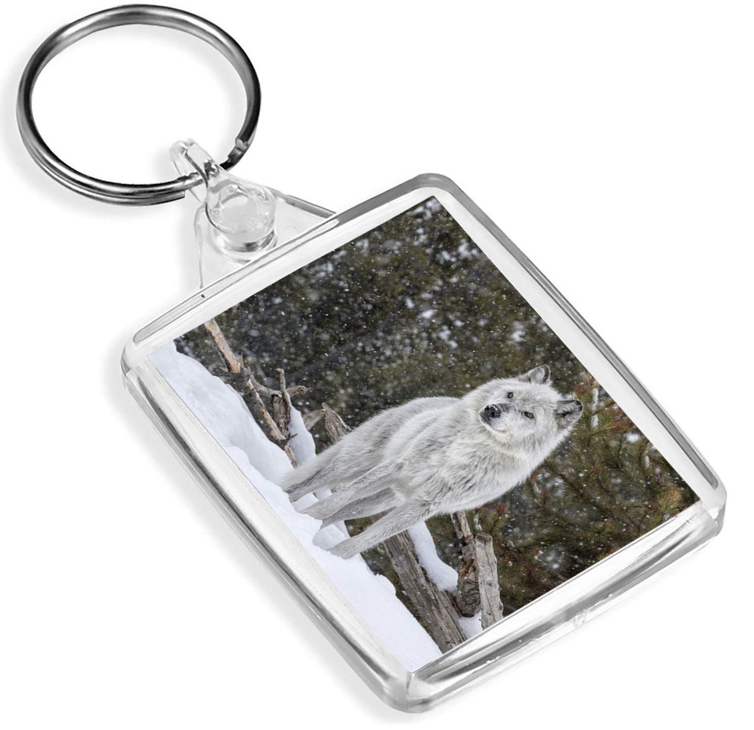 1 x Striking White Wolf Animals Forest - Keyring - IP02 - Mum Dad Kids #3734