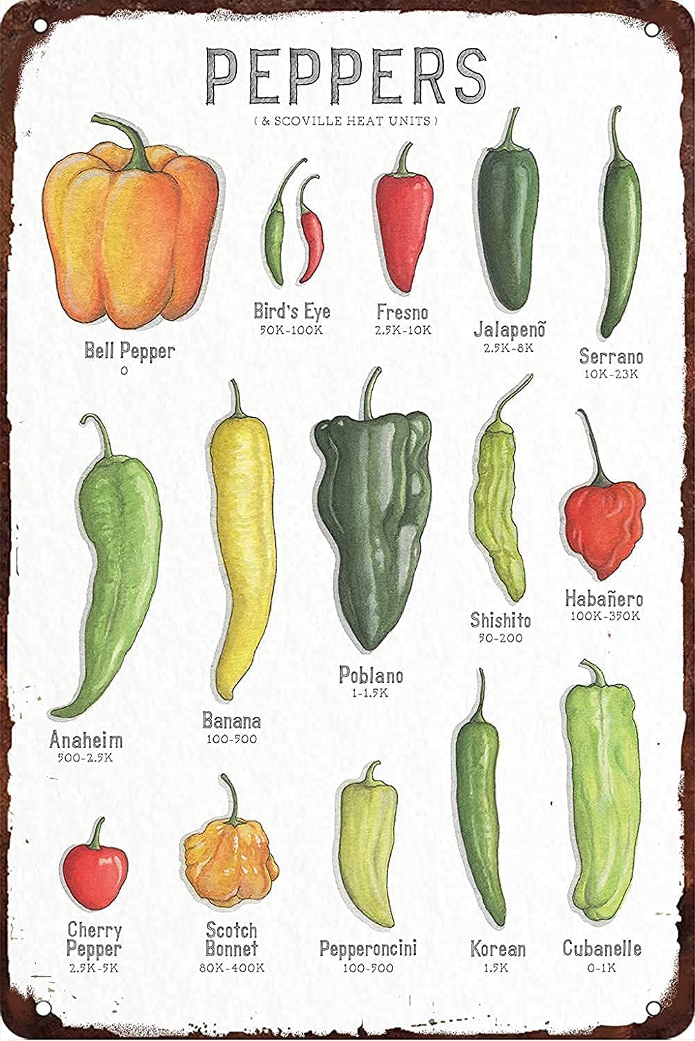 Bioprocess Earthy Tones With Metallic Accents Pepper Knowledge Peppers & Scoville Heat Units Posters Plaque Science Guide Room Club Kitchen Wall Decores Wall Decor Poster Metal Sign 8X12 Inches