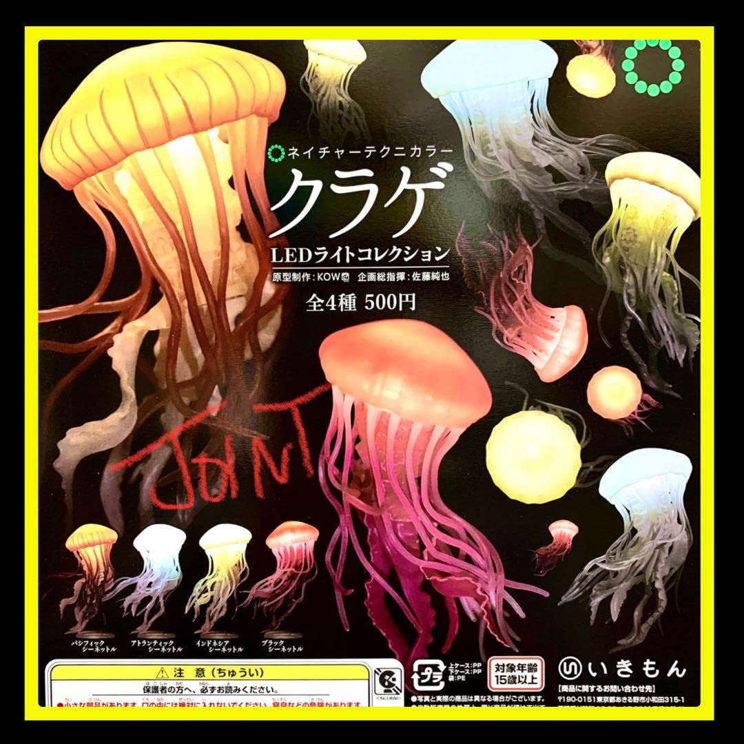 クラゲ クリスタルライトボール クラゲ - スタジオソータ公式 | アート