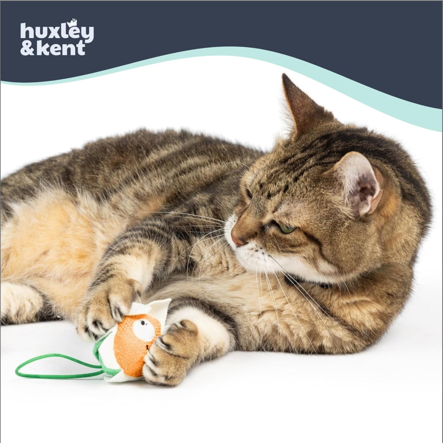 Huxley & Kent Flinger Catnip Cat Toy with Launcher, Flower, Large image 3