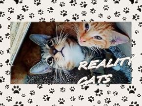 Reality Cats