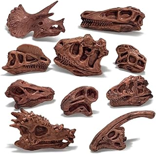 LC JoyCre 11PCS Realistic Mini Dinosaur Bones Set T-rex Skull for Sandbox Kids Toys Carnotaurus Velociraptot Brachiosaurus Oviraptor Nigersaurus Diplodocus Dilophosaurus Dracorex Triceratops