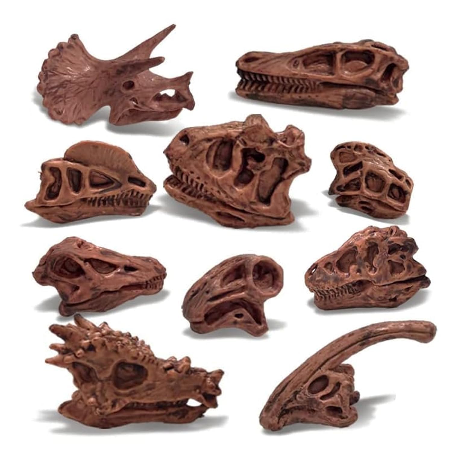 Amazon.com: LC JoyCre 11PCS Realistic Mini Dinosaur Bones Set T
