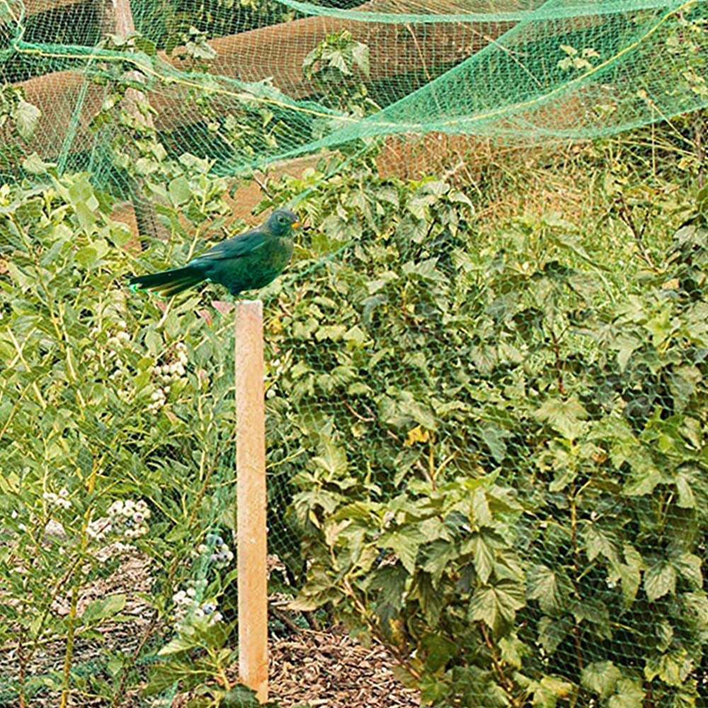 Filet anti-oiseaux 5 m x 10 m Lot de 2 avec attaches nylon pour protection plantes fruits légumes