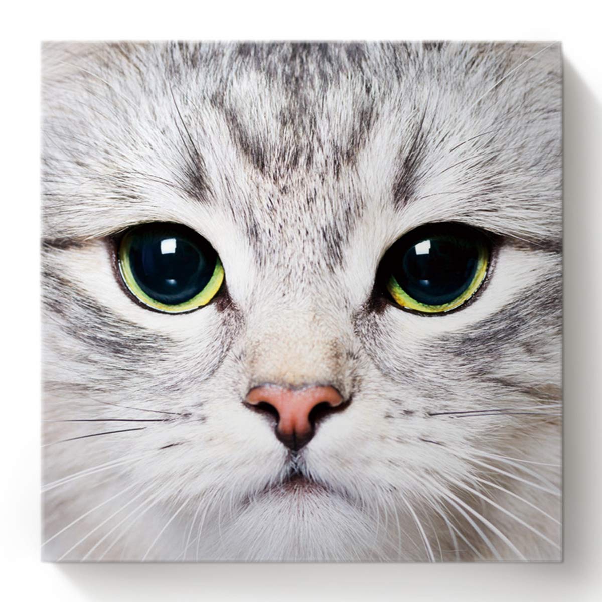 Cat Whiskers Face Paint