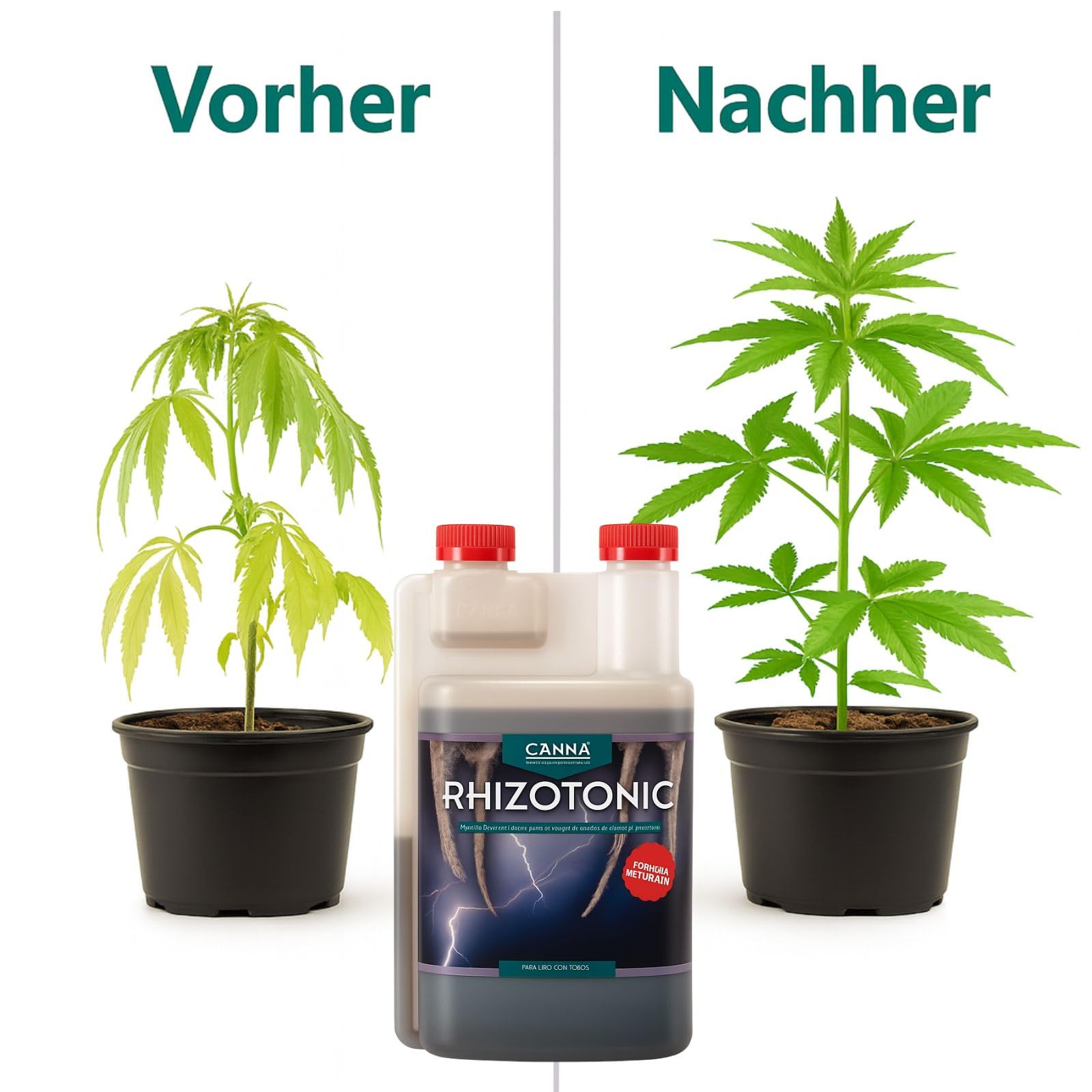 Weedness Canna Rhizotonic 5 L – Engrais racinaire haute capacité