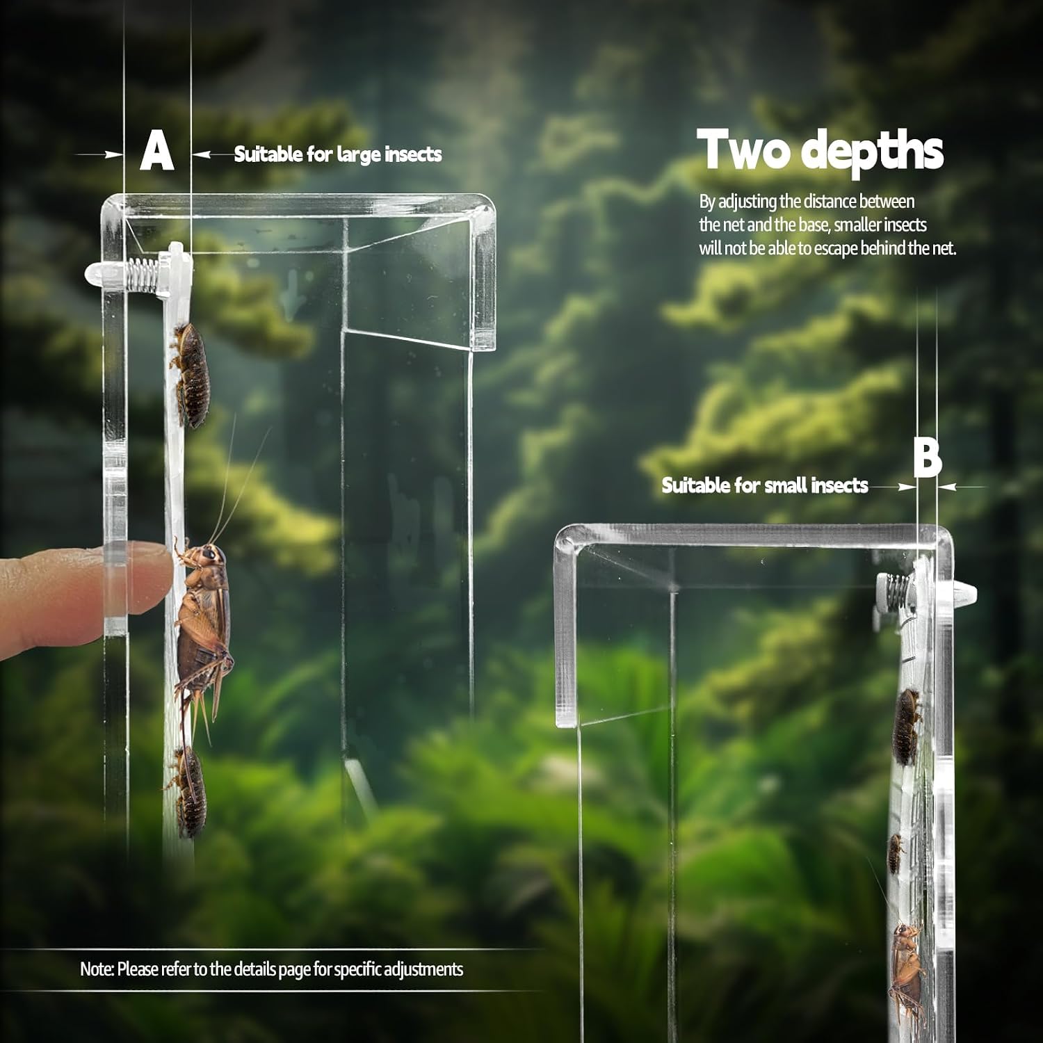 Bearded Dragon Feeder, Transparent Acrylic Reptile Feeding Box, Chameleon Bug Bowl, Wall-Mounted Insect Bowl with Suction Cups, Tank and Aquarium Accessories for Lizard Gecko Frog