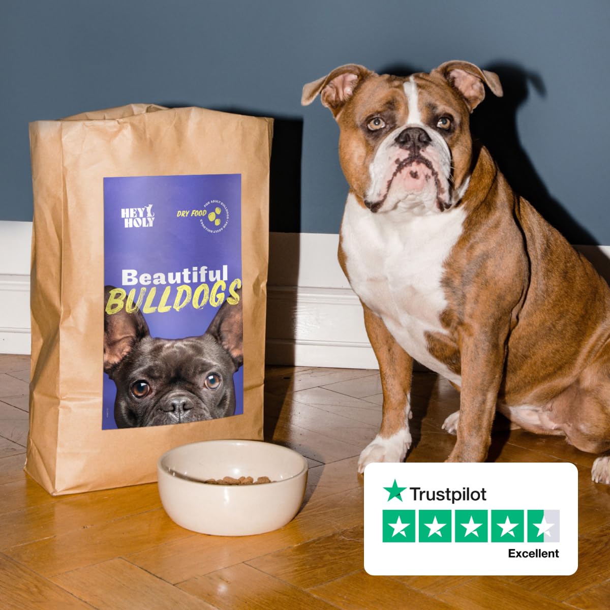 HEY HOLY Beautiful Bulldogs Croquettes Premium pour Bulldogues 100% sans céréales | Aliment hypoallergénique pour Bulldogues Adultes avec Saumon, 7kg | Très digestible, à Base d'ingrédients naturels