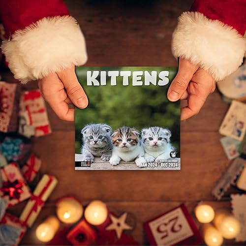 Miniatura 6 de Red Ember - Mini calendario de pared para espacios pequeños  Gatitos 2024 colgante mensual por Red Ember  Solo 7 x 14 pulgadas abierto  Papel grueso